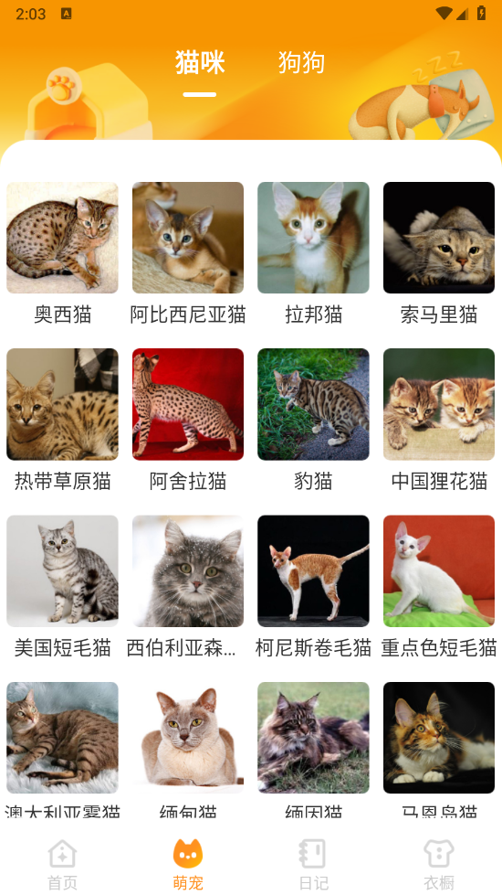 元气手机壁纸