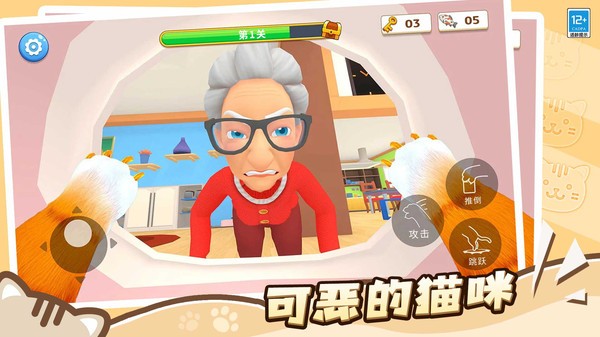 肥猫爱拆家