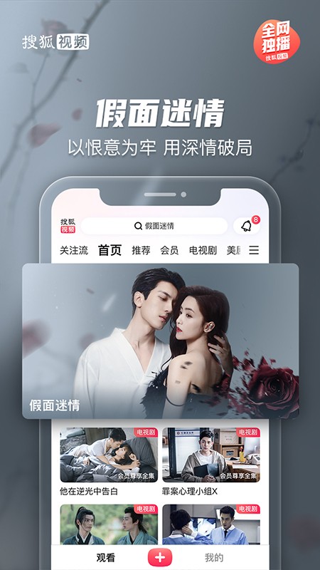 搜狐视频纯净版