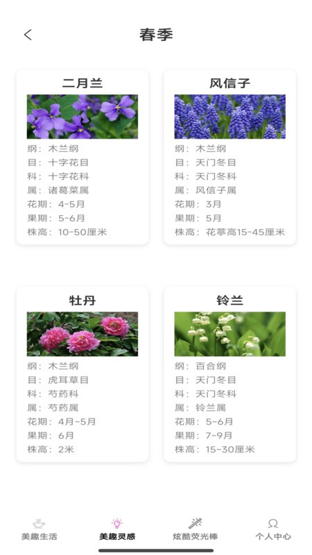 美趣特效生成器免费版