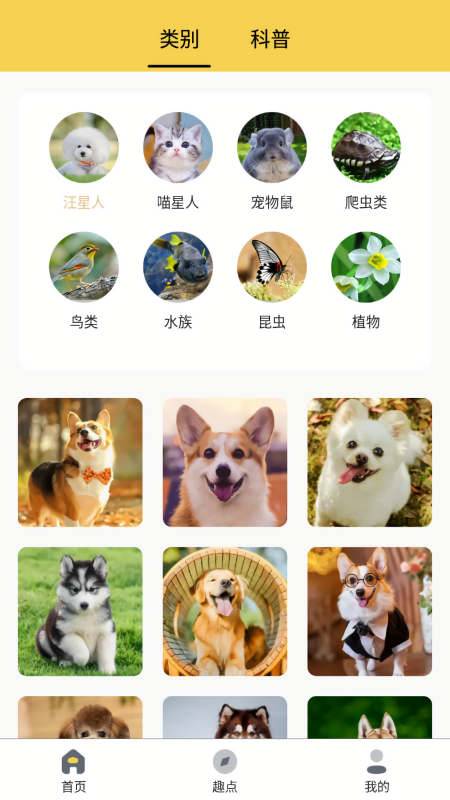 橙猫