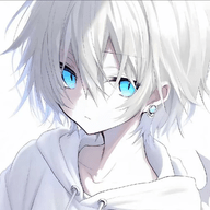 星仔速刷体质定制版