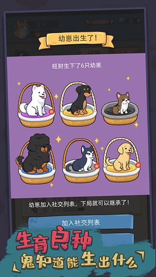 狗生模拟器1.0.0