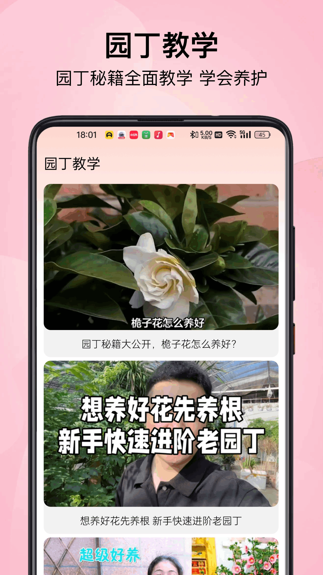 小园丁