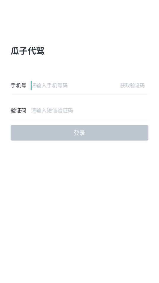 瓜子代驾