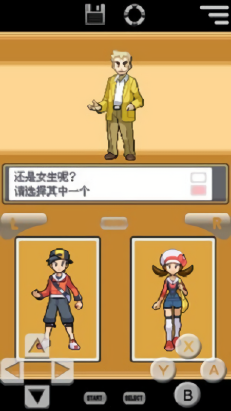 口袋妖怪心金中文版