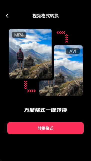 TT短视频助手