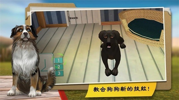 我的寄宿狗屋游戏全解锁版