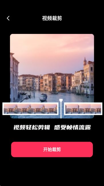 TT短视频助手