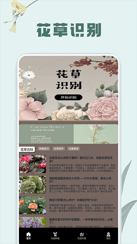 草录植物识别