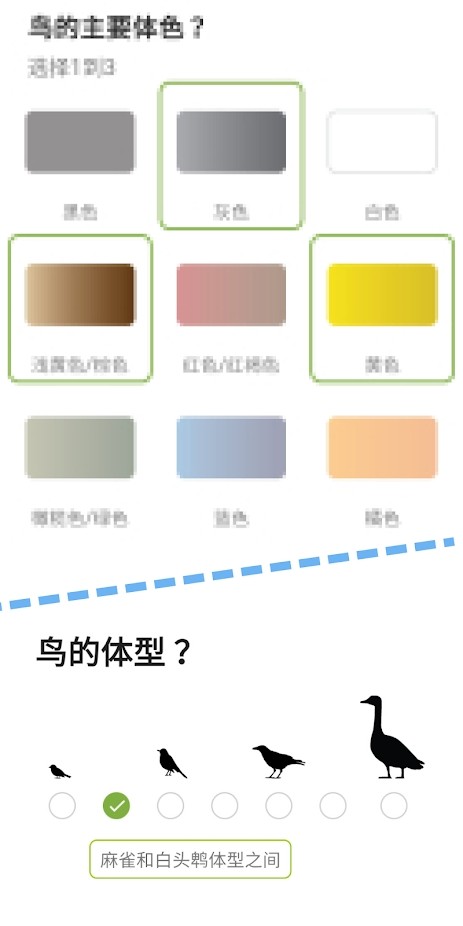 merlin鸟类识别安卓版