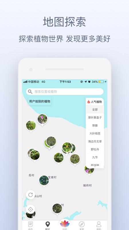 花伴侣植物识别软件免费版
