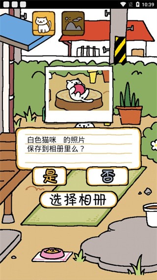 猫咪后院无限金币版