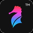 海马证件照制作营