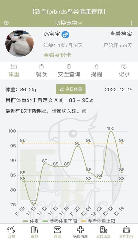 致鸟forbirds鸟类管家app