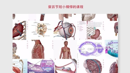 解剖和生理学