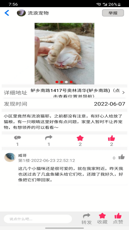 流浪宠物