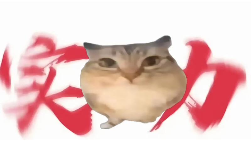 巴巴博一正版