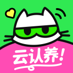 附近有喵云领养