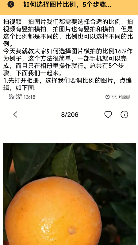 比例修改器