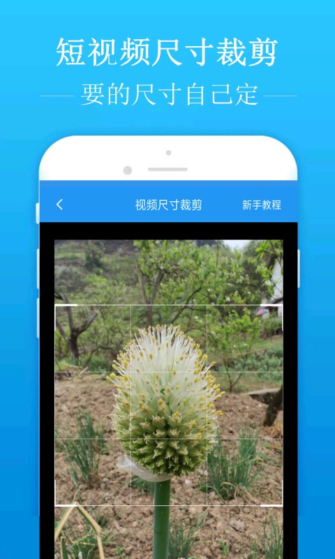 去水印吧永久免费版