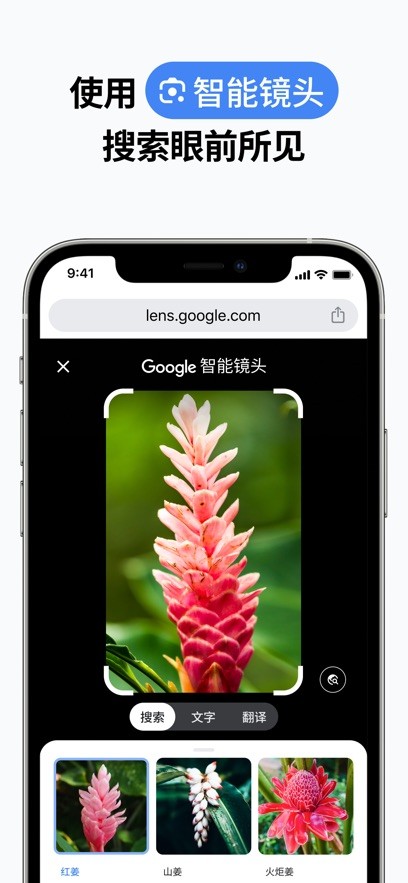 谷歌浏览器苹果版