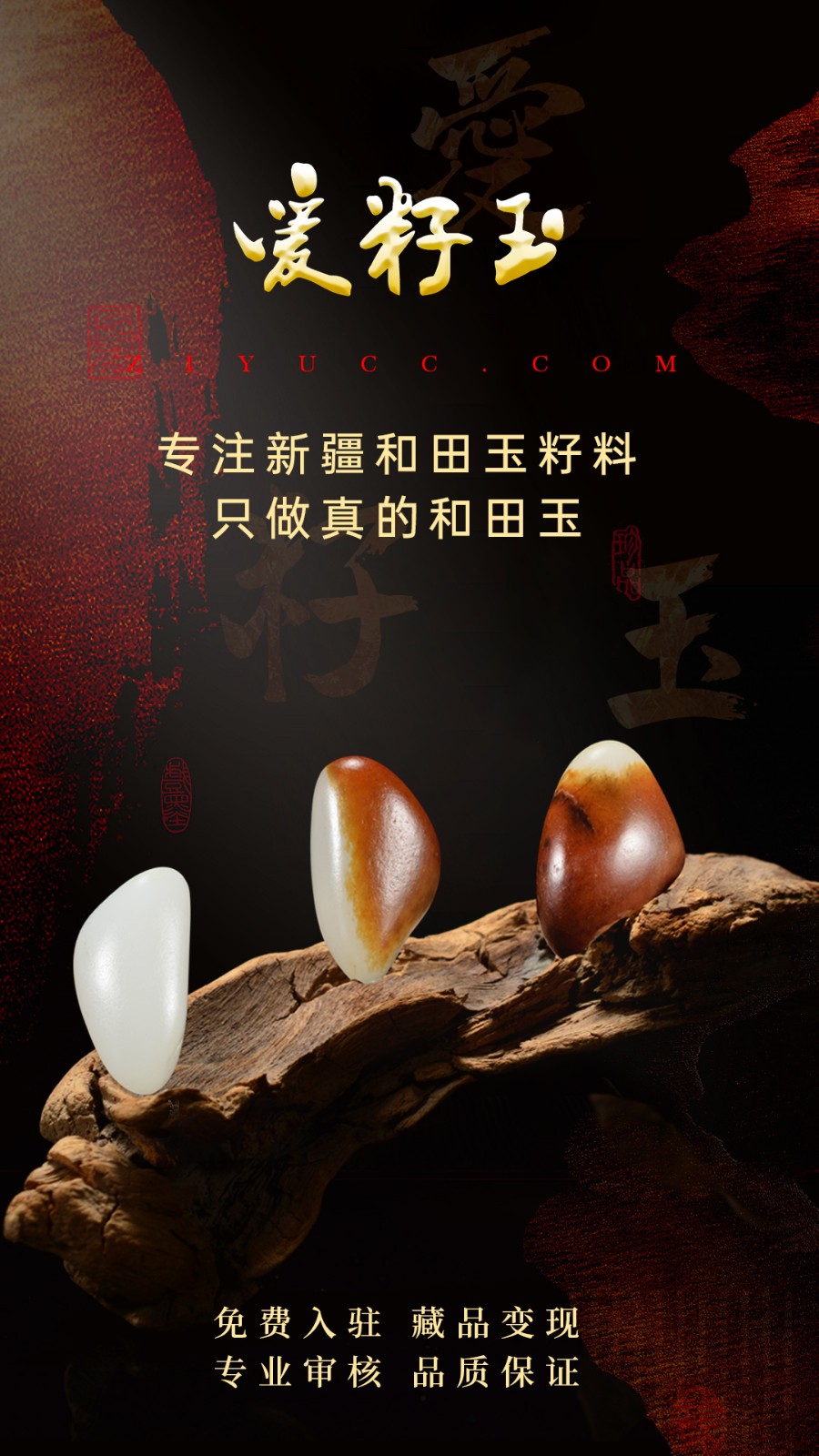 爱籽玉拍卖