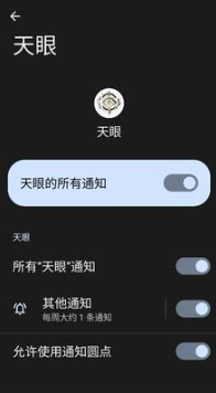 王者天眼辅助