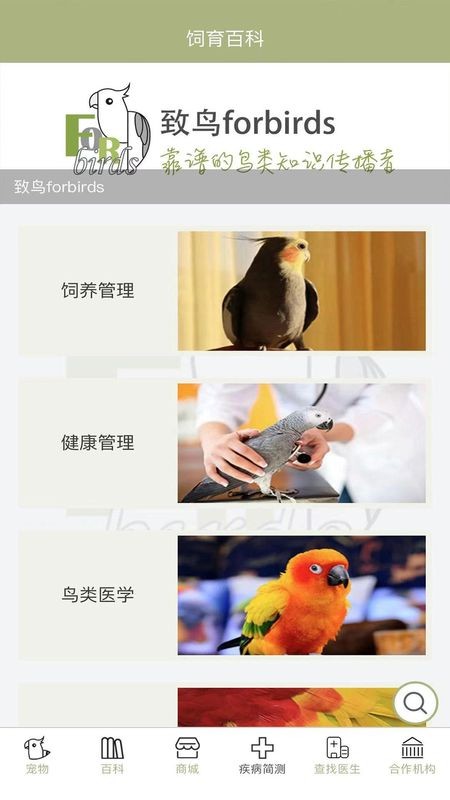 致鸟forbirds鸟类管家app