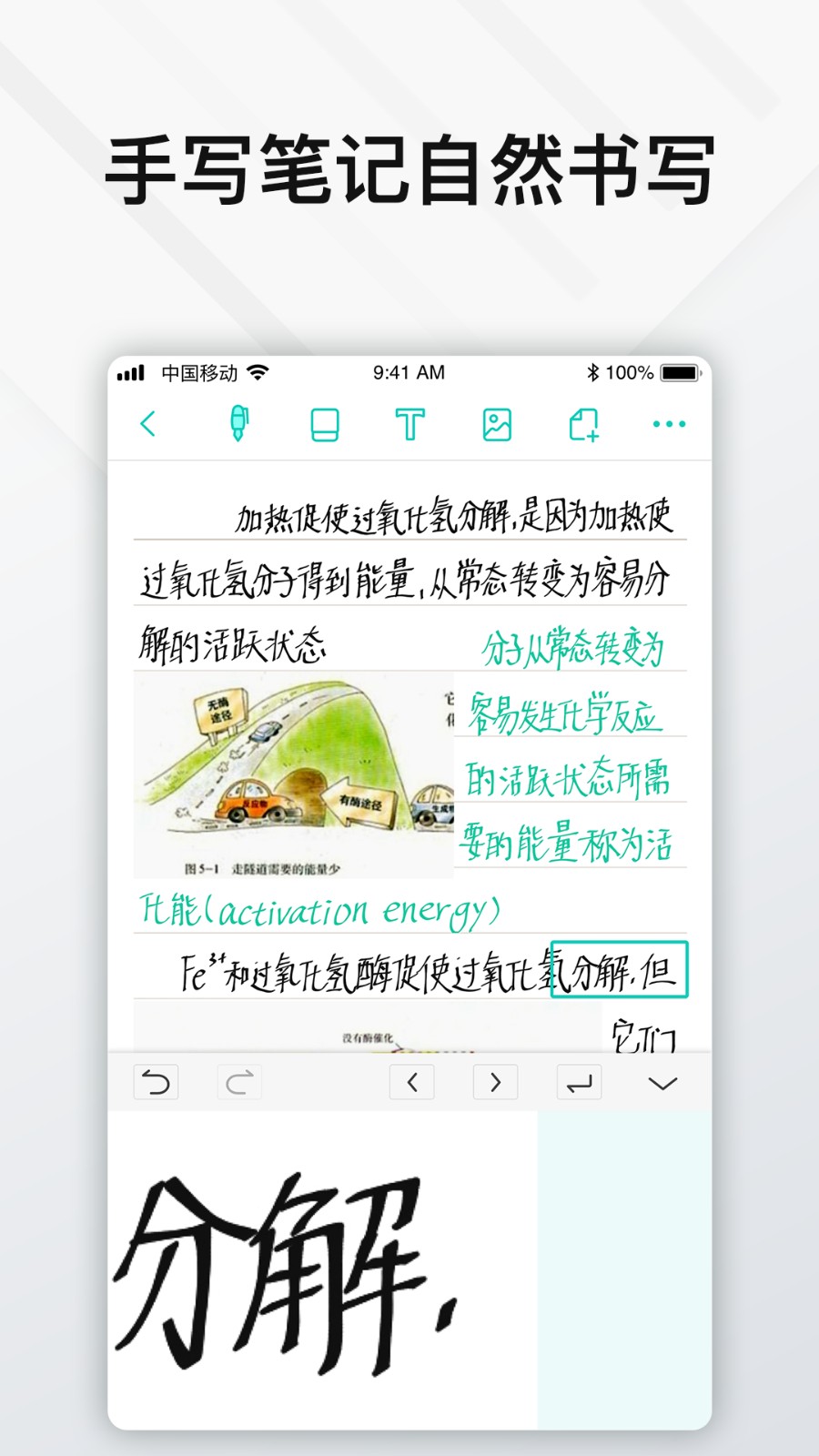 Elfinbook易飞终身会员版