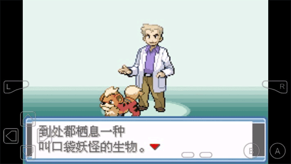 口袋妖怪永恒之炎金手指版