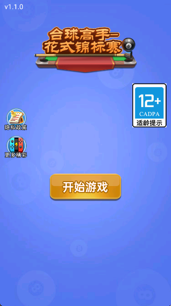台球高手花式锦标赛