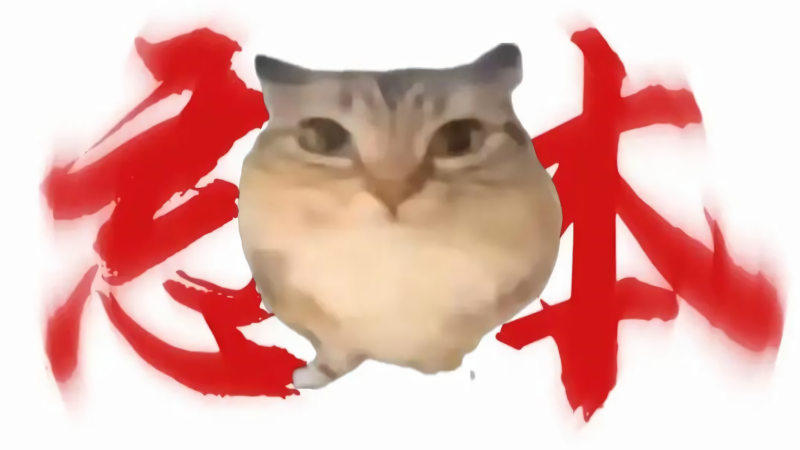 巴巴博一正版