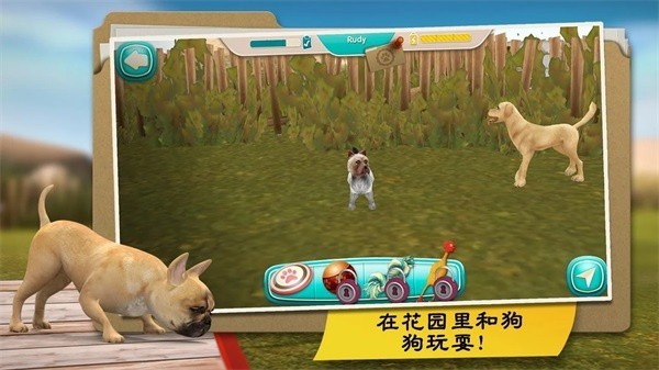 我的寄宿狗屋游戏全解锁版