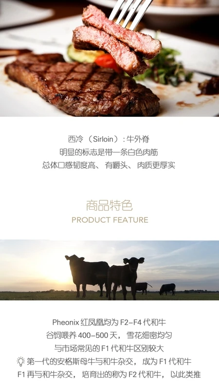 普冷库购物流查询app