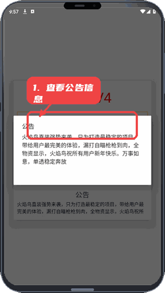 火焰鸟正版直装