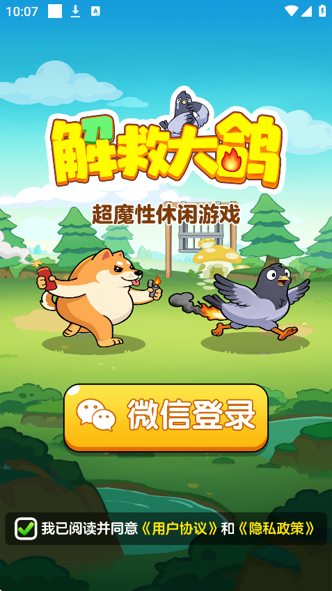 解救大鸽