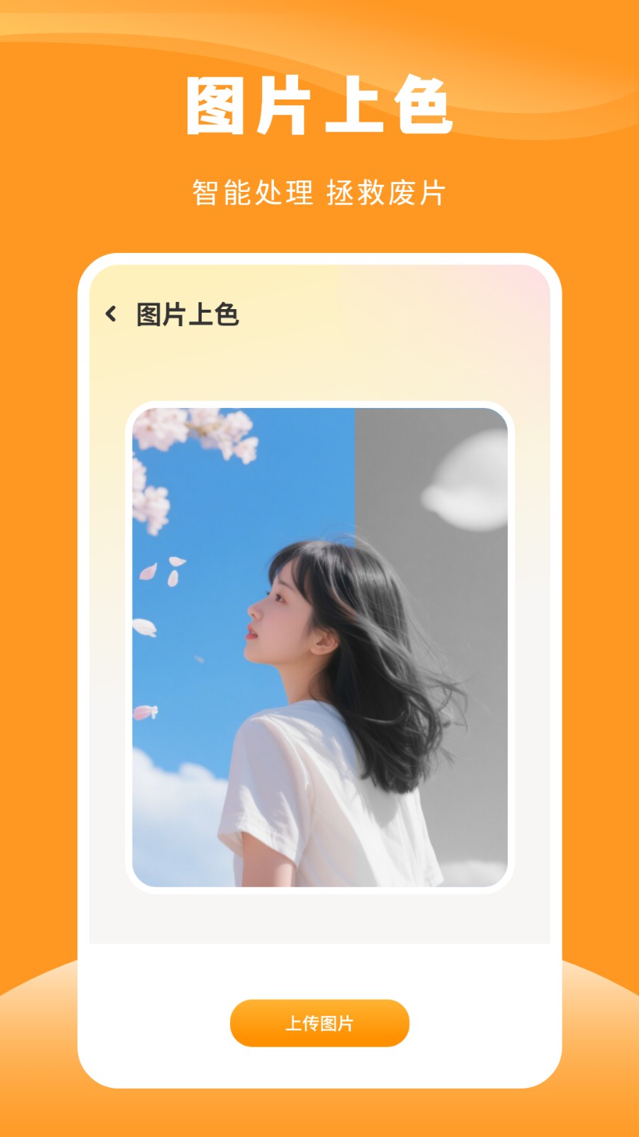 实时相机