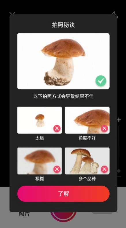 蘑菇识别扫一扫小程序