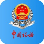 广东税务电子税务局app