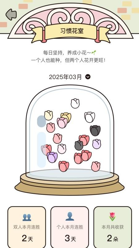 吱吱小岛