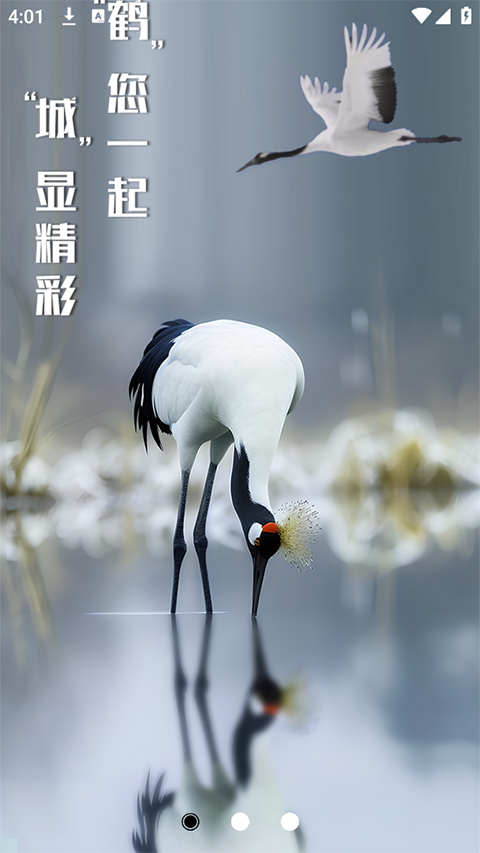 鹤城在线app便民服务