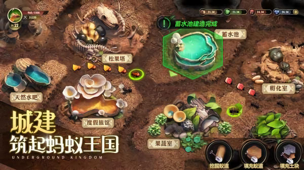 超能蚁团