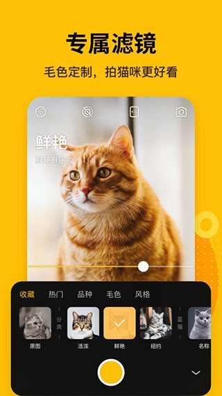 爪叽宠物相机安卓版