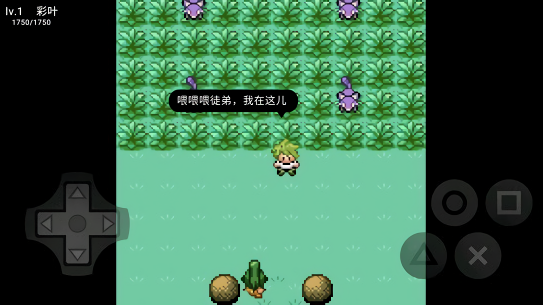 口袋妖怪污浊中文版