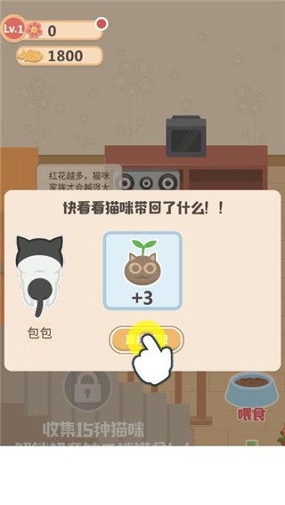 奇妙猫之家免广告版