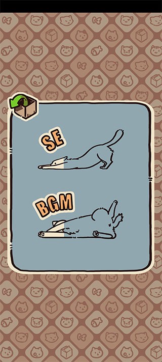 盒子猫