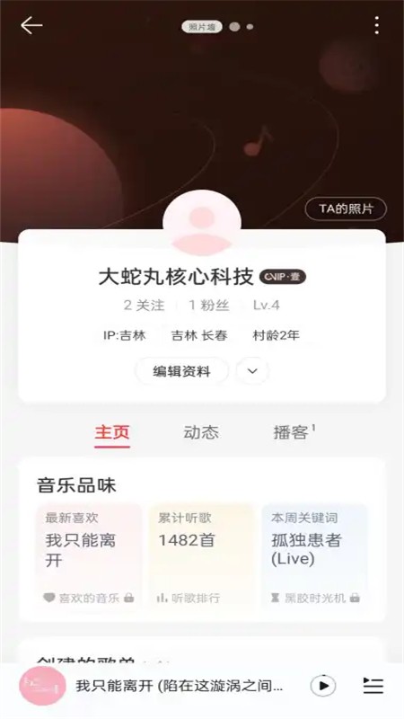大蛇丸音乐无广告