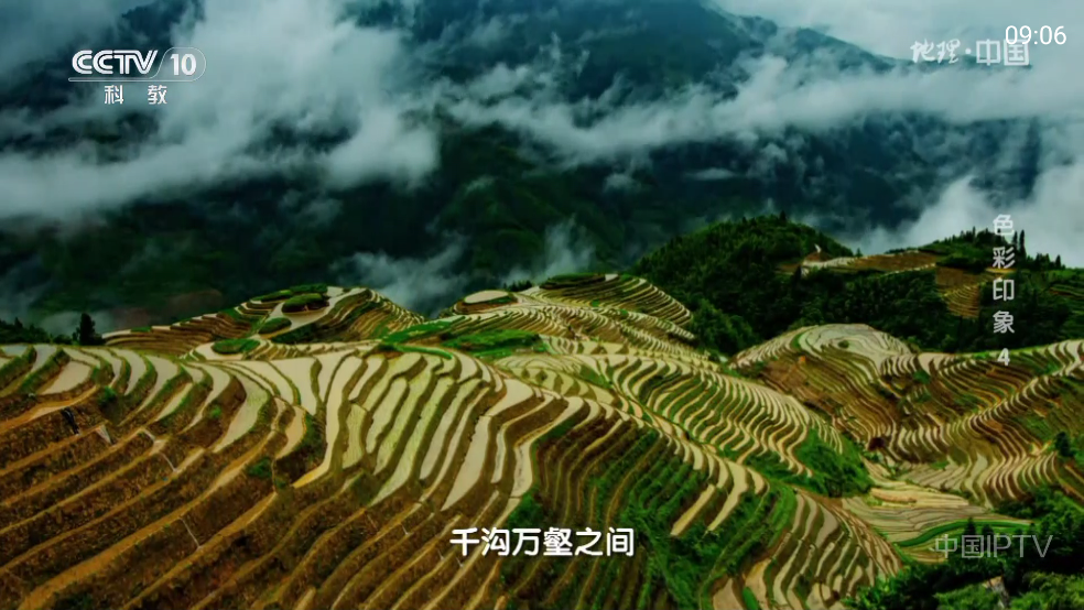 频道多多tv版