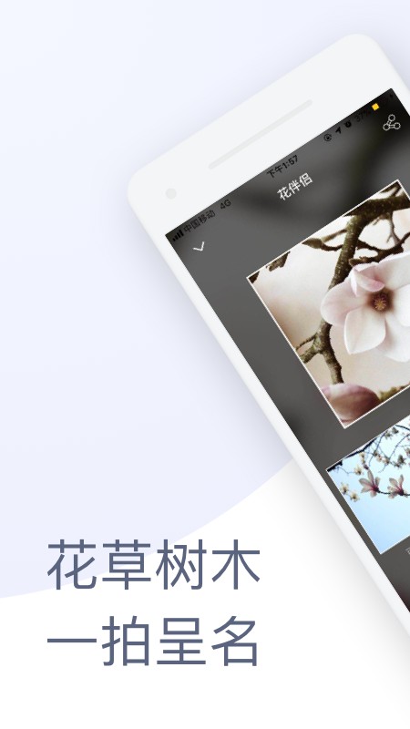 花伴侣植物识别软件免费版